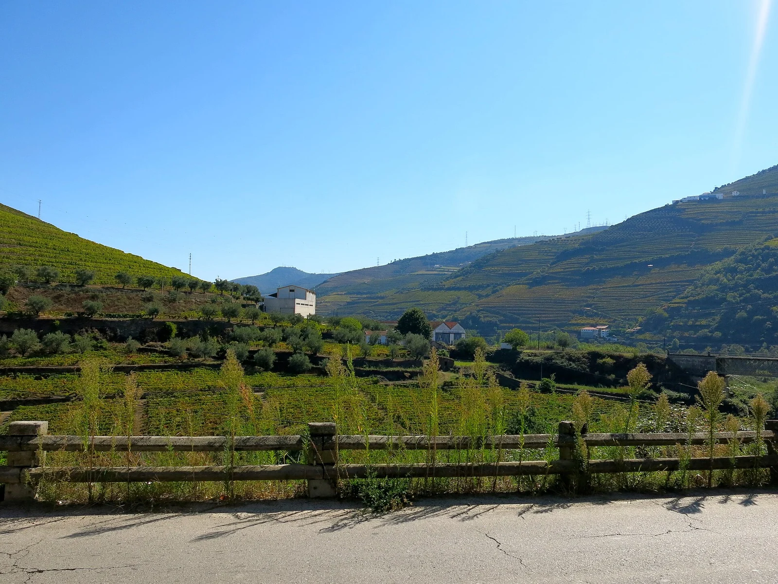 Vinhas em socalcos nas encostas do Alto Douro