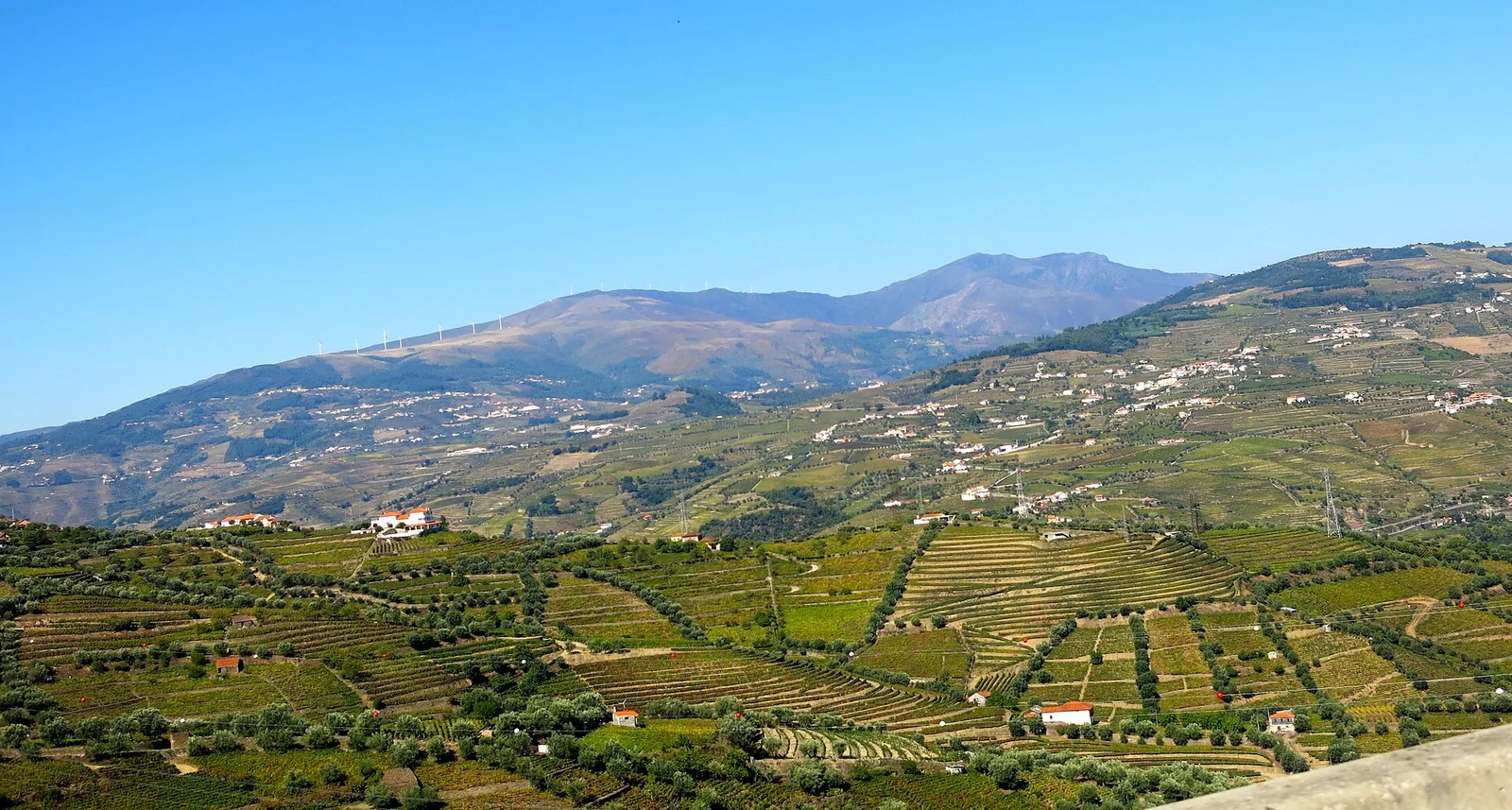 Vale do Douro com vinhas e povoações ao longe